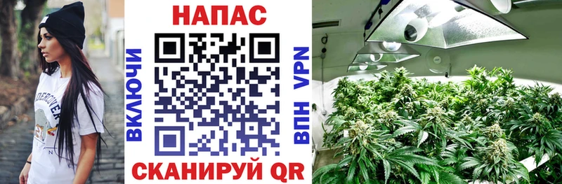 Конопля VHQ  мориарти формула  Лесосибирск  закладки 